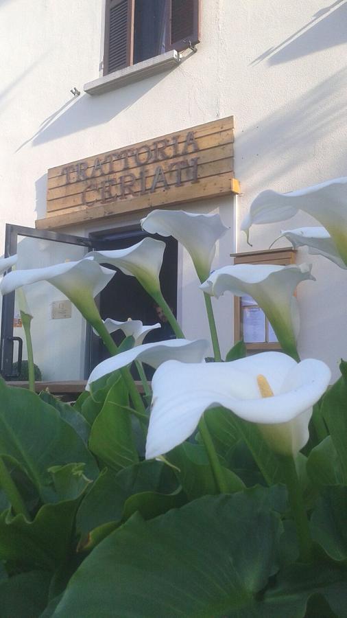 Trattoria Ceriati Room & Breakfast ซัลโซมัจโจเรแตร์เม ภายนอก รูปภาพ